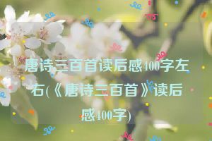 唐诗三百首读后感400字左右(《唐诗三百首》读后感400字)