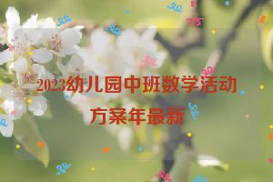 2023幼儿园中班数学活动方案年最新