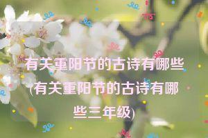 有关重阳节的古诗有哪些(有关重阳节的古诗有哪些三年级)