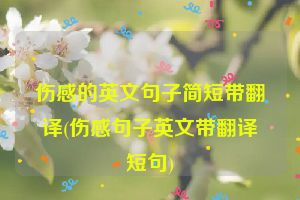 伤感的英文句子简短带翻译(伤感句子英文带翻译短句)