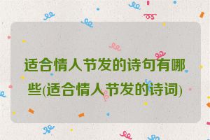 适合情人节发的诗句有哪些(适合情人节发的诗词)