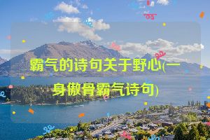 霸气的诗句关于野心(一身傲骨霸气诗句)
