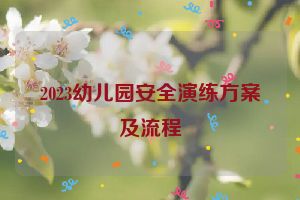 2023幼儿园安全演练方案及流程