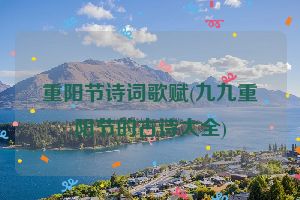 重阳节诗词歌赋(九九重阳节的古诗大全)