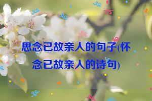 思念已故亲人的句子(怀念已故亲人的诗句)