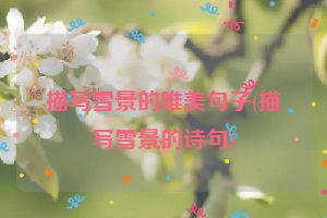 描写雪景的唯美句子(描写雪景的诗句)