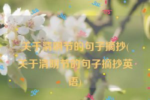关于清明节的句子摘抄(关于清明节的句子摘抄英语)
