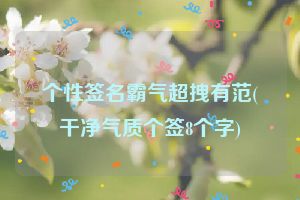 个性签名霸气超拽有范(干净气质个签8个字)