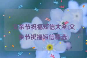 父亲节祝福短信大全(父亲节祝福短信精选)