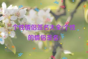 个性情侣签名大全(个性的情侣签名)