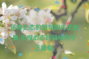 乐观心态的短句阳光正能量(乐观心态的简短句子正能量)