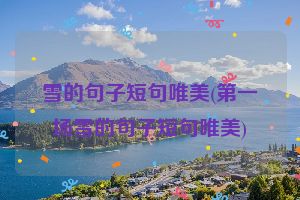 雪的句子短句唯美(第一场雪的句子短句唯美)