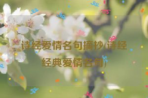 诗经爱情名句摘抄(诗经经典爱情名句)