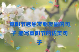 重阳节感恩发朋友圈的句子 描写重阳节的优美句子