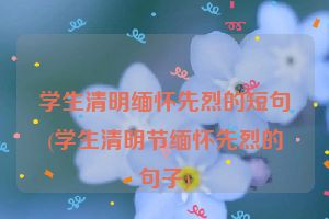 学生清明缅怀先烈的短句(学生清明节缅怀先烈的句子)