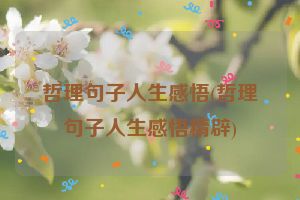 哲理句子人生感悟(哲理句子人生感悟精辟)