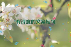有诗意的文案短句