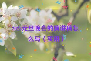 2023元旦晚会的演讲稿怎么写（实用）