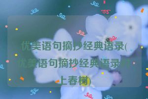 优美语句摘抄经典语录(优美语句摘抄经典语录村上春树)