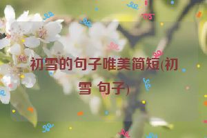 初雪的句子唯美简短(初雪 句子)