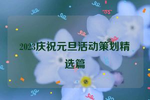 2023庆祝元旦活动策划精选篇