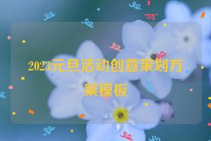 2023元旦活动创意策划方案模板