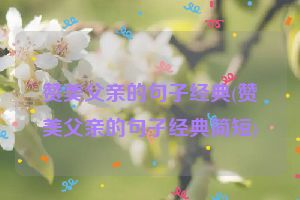 赞美父亲的句子经典(赞美父亲的句子经典简短)