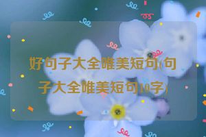 好句子大全唯美短句(句子大全唯美短句10字)