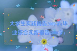 大学生实践报告2000字(毕业综合实践报告3000字)