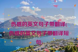伤感的英文句子带翻译(伤感的英文句子带翻译短句)