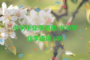 小学毕业季语录(小学毕业季语录 8字)