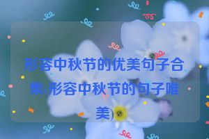 形容中秋节的优美句子合集(形容中秋节的句子唯美)