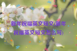 新年祝福英文短文(新年祝福英文短文怎么写)
