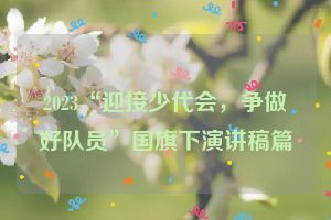 2023“迎接少代会，争做好队员”国旗下演讲稿篇