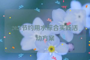 2023节约用水综合实践活动方案