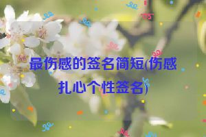最伤感的签名简短(伤感扎心个性签名)