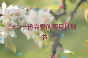 2023一份完整的项目计划书