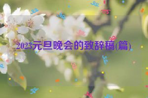2023元旦晚会的致辞稿(篇)