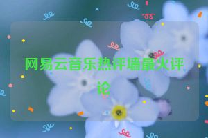 网易云音乐热评墙最火评论