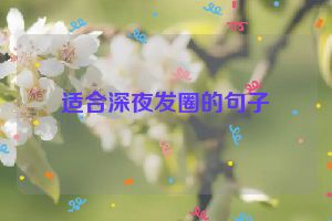 适合深夜发圈的句子