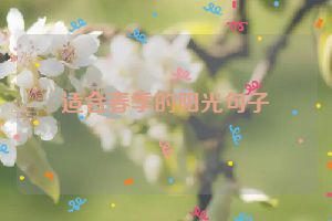 适合春季的阳光句子