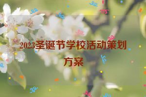 2023圣诞节学校活动策划方案