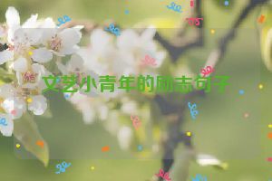 文艺小青年的励志句子