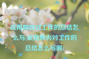 试用期内对工作的总结怎么写(试用期内对工作的总结怎么写啊)