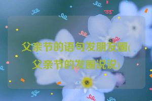 父亲节的语句发朋友圈(父亲节的发圈说说)